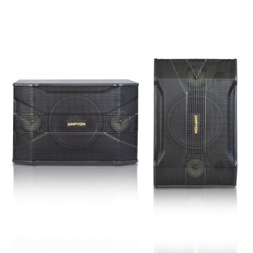 Picture of Ampyon KSX-10 Karaoke Speaker